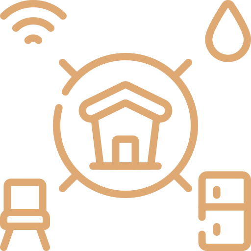 Professional Services